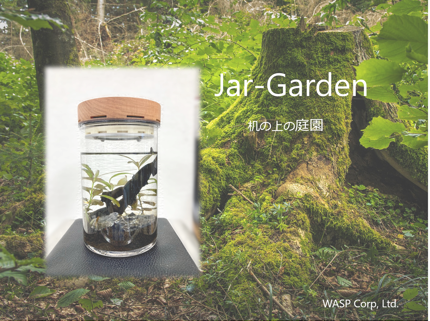 屋内でも植物を楽しめるインテリアグッズJar-Gardenのイメージ画像